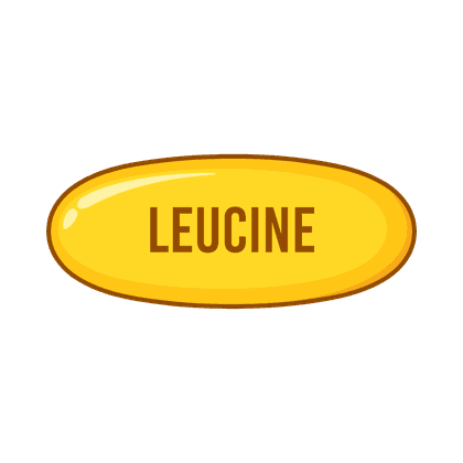 Leucine