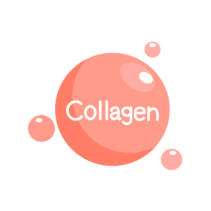 Collagen type III