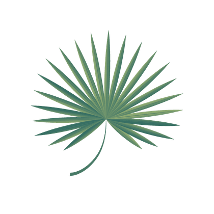 Palmetto