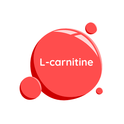 Carnitine (B11)