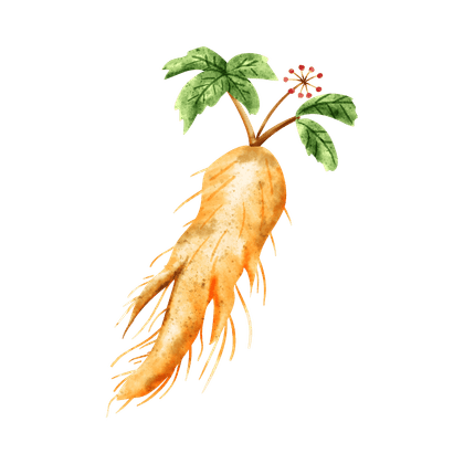 Ginseng