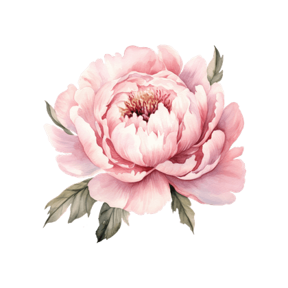 Peony