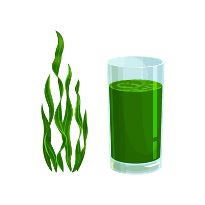 Spirulina