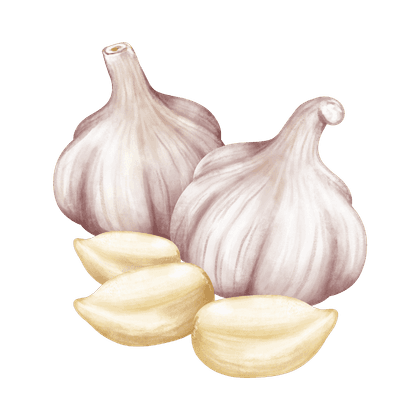 Garlic