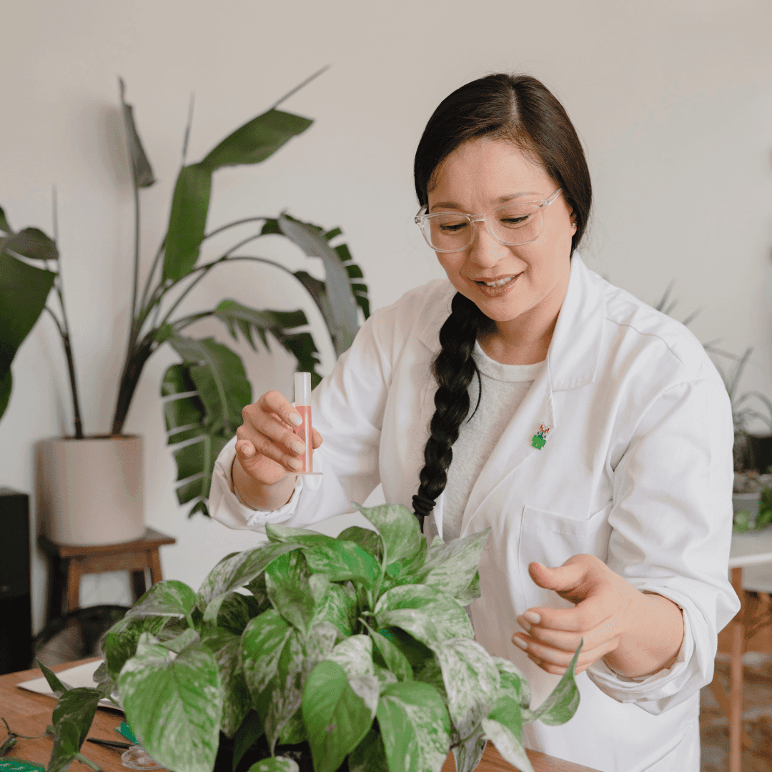 Image for Use of Herbs and Plants